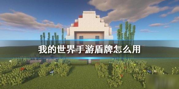 我的世界盾徽有什么用？（我的世界盾徽在哪里）