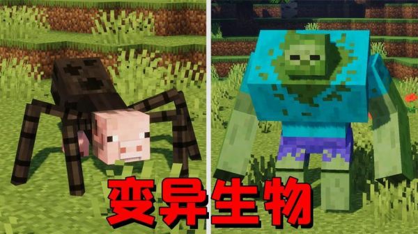 我的世界所有生物？（我的世界哪里有蜘蛛猪）