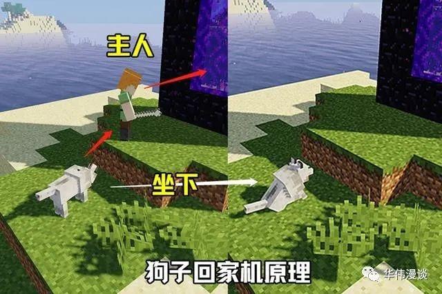 我的世界狗丢了怎么找回来？（我的世界找狗在哪里）
