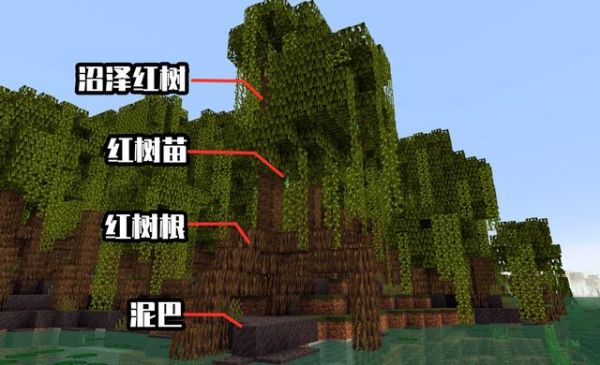 我的世界月蚀沼泽怎么找？（我的世界沼泽哪里找）