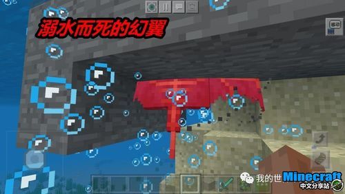 mc里面的幻翼怎么驯服？（我的世界哪里有幻翼）