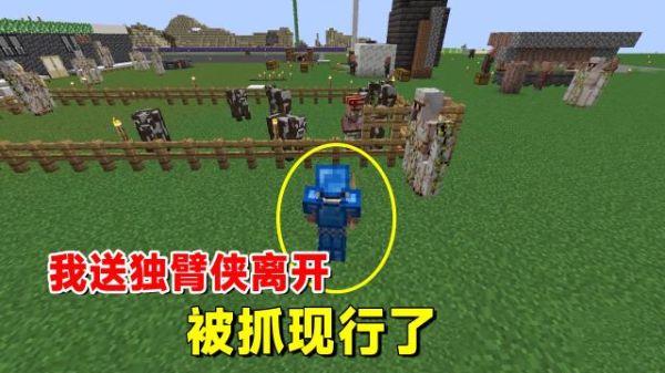 我的世界独臂侠为什么失去右臂？（我的世界独臂侠在哪里）