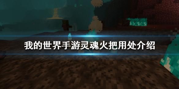 我的世界灵魂火种怎么获得？（我的世界灵魂都在哪里）