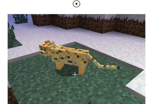 我的世界怎么养猫？（我的世界玩具从哪里买）