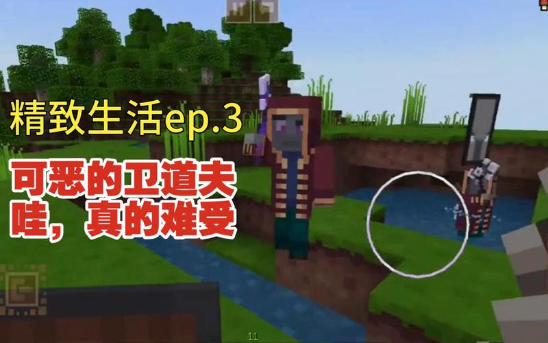 什么是卫道夫？（我的世界卫道夫在哪里）