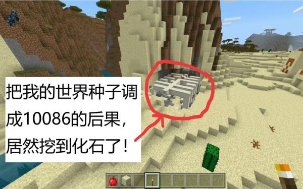 我的世界有什么好的种子？（我的世界哪里有化石种子）
