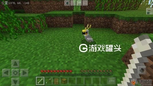 我的世界鹦鹉怎么让它下来？（我的世界鹦鹉放在哪里）
