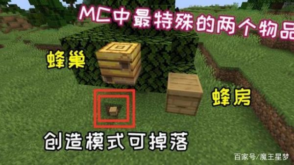 新版我的世界蜜蜂世界怎么进？（我的世界新版蜜蜂在哪里）