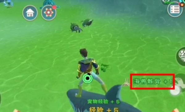 创造与魔法骨头怎么获得？（我的世界创造骨头在哪里）