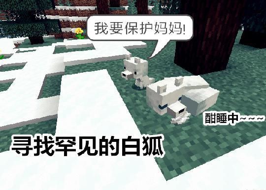 我的世界白狐狸怎么生成？（我的世界白狐在哪里有）