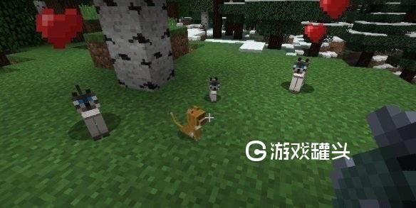 我的世界如何养家畜？（我的世界养猫工具在哪里）