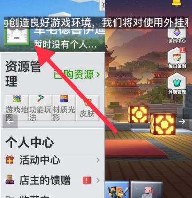 我的世界基岩版怎么看自己的id？（我的世界id哪里找）