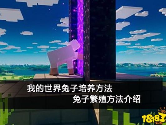我的世界兔子刷新机制？（我的世界兔子哪里找）