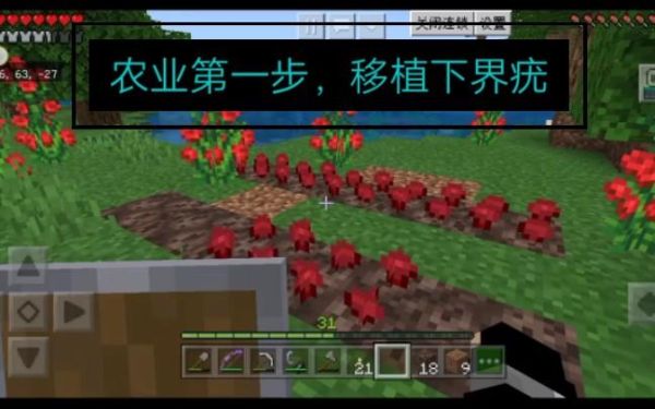 我的世界下界疣怎么找？（我的世界下界疣种植哪里）