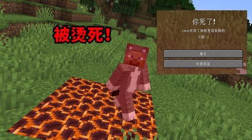 狗狗死后多久投胎？（我的世界死了狗会去哪里）