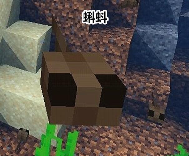 我的世界怎样找青蛙？（在我的世界哪里有青蛙）