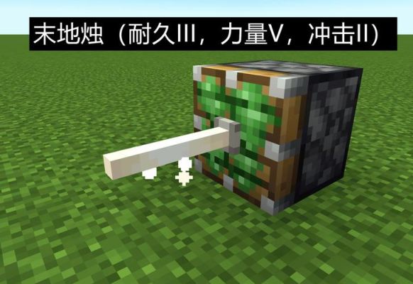 我的世界乌龟壳碎片怎么获得？（我的世界哪里有乌龟蛋）