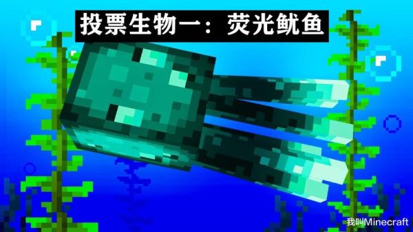 mc鱿鱼场怎么造？（我的世界鱿鱼在哪里抓）