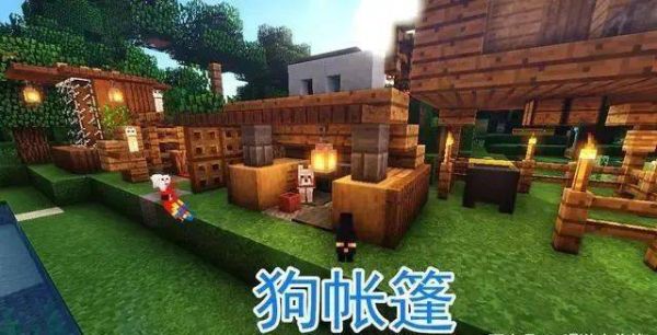 鹦鹉窝放在笼子哪个位置？（我的世界哪里会有鹦鹉窝）