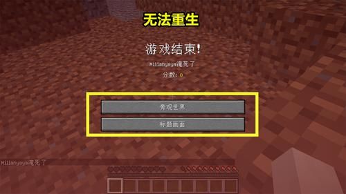 我的世界隐藏基岩方块指令？（我的世界隐藏基岩在哪里）
