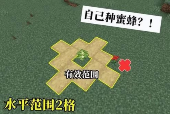 我的世界蜂巢怎么吸引蜜蜂？（我的世界里花丛在哪里）