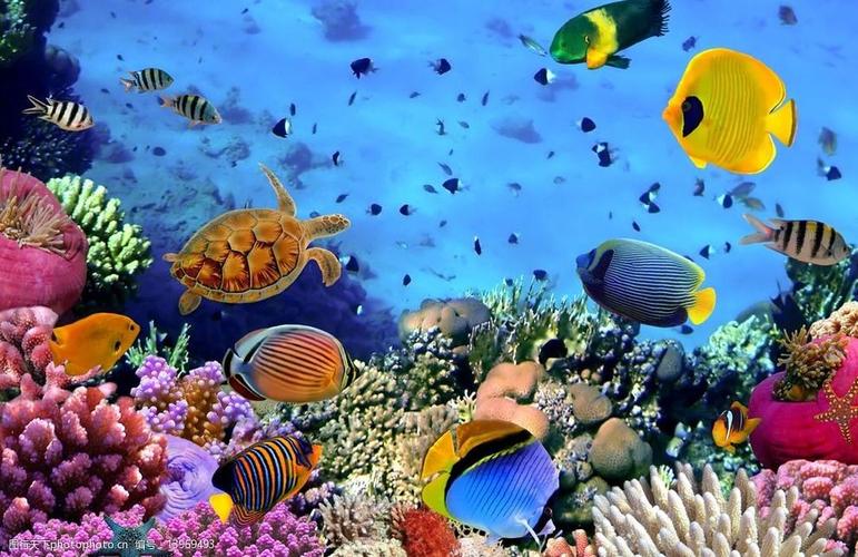 “海底世界”用什么词语形容？（我看到的海底世界在哪里）