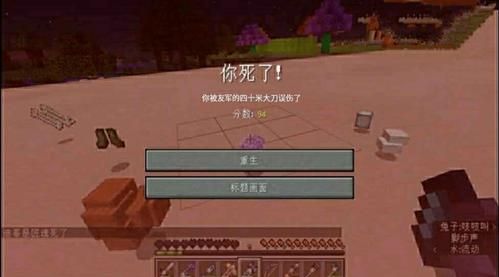 我的世界怎么隐藏名字好友看不见？（我的世界隐藏游戏在哪里）