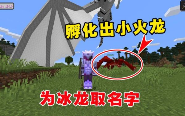 我的世界冰火传说怎么储存龙？（我的世界地下的龙在哪里）