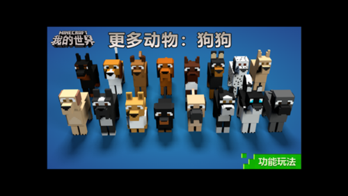 我的世界怎么获得兽骨？（我的世界狼哪里刷的多点）
