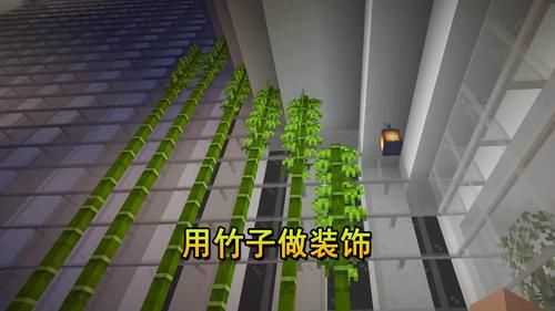 我的世界竹子怎么找？（我的世界哪里的宝箱有竹子）