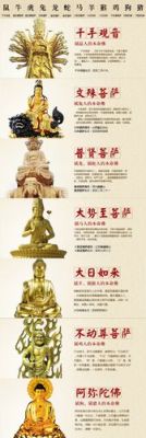 每个属相对应的菩萨是哪个？（我的世界的菩萨在哪里修炼）