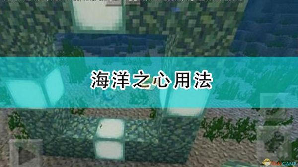 我的世界海洋之心用法？（我的世界的海洋之心在哪里）