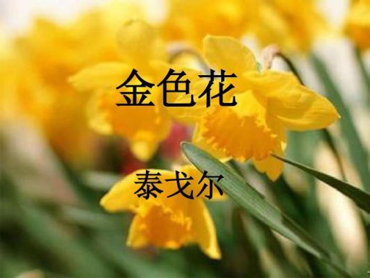 《金色花》里的“暗暗地”，“悄悄地”表达了孩子什么心理？为什么？（我的世界金色的花在哪里）