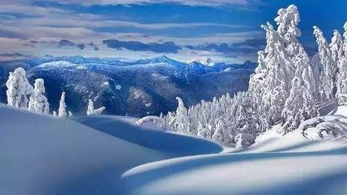 雪后白毫银针是什么意思？（我的世界哪里有下雪的针）