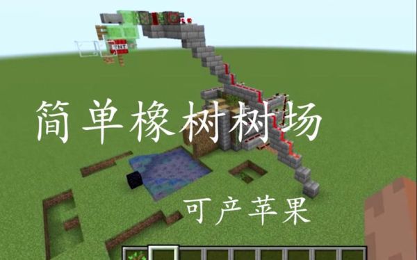 我的世界橡木木块名称？（我的世界的丛林木在哪里）