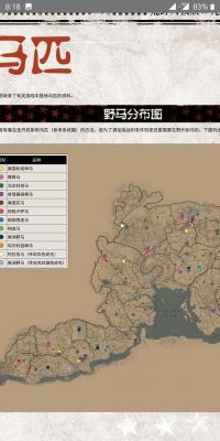 荒野大镖客2最强马哪里抓？（我的世界最强的马在哪里）